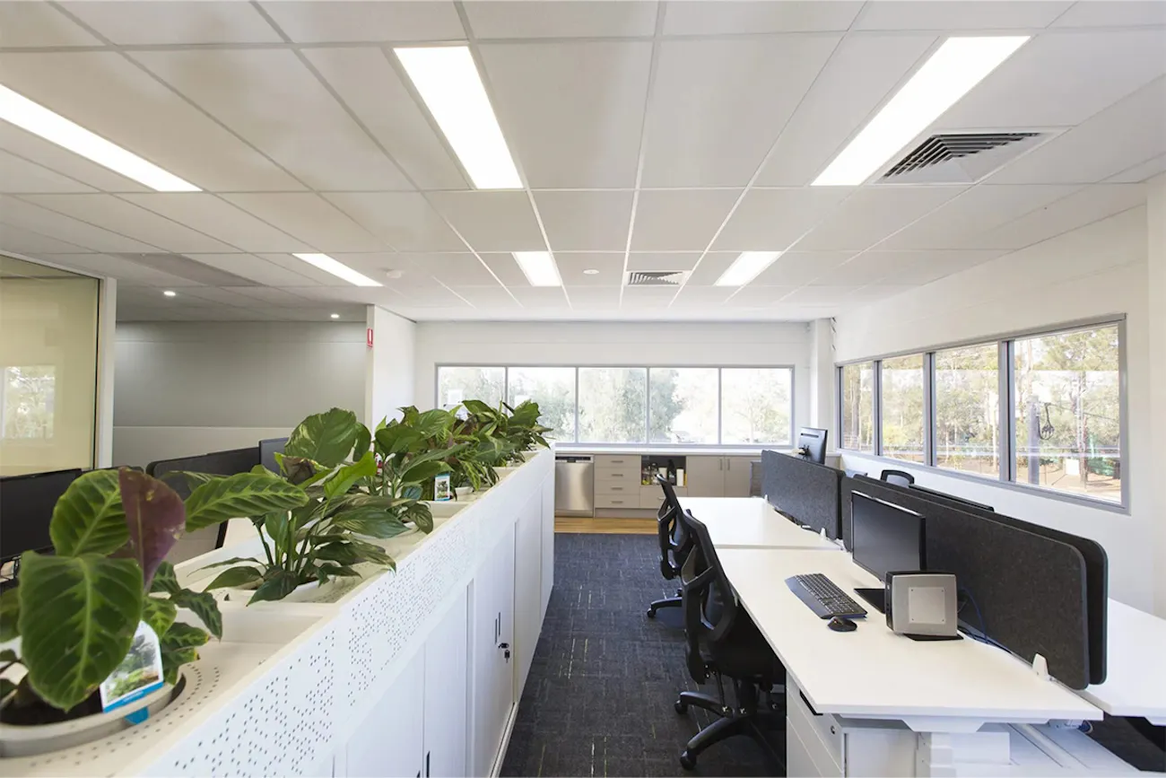 Completed-Projects Commercial-Completed-Projects Coverite-Projects-Beresfield-Office-Refurbishment coverite-projects-beresfield-office-refurbishment-body-image-4